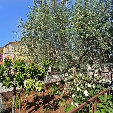 Mario 2060 Appartement Pula